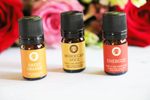 Citrus Blast essential oil set