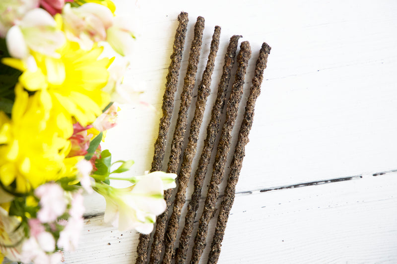 Hibiscus incense